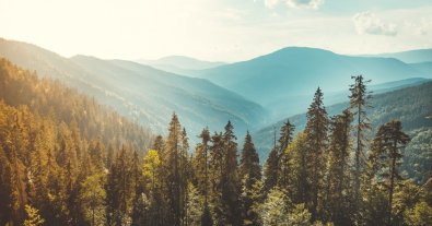 Фото – 7 країн Карпатської Конвенції рішуче засудили військову агресію рф та її еконаслідки