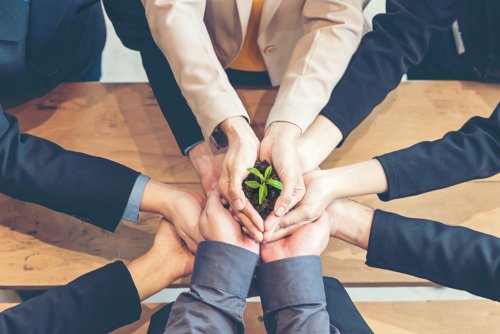 Стали відомі результати зустрічі “Вплив на довкілля вторгнення Росії: голоси України”