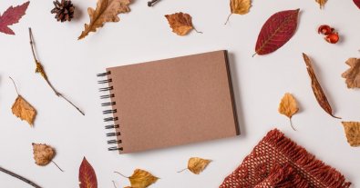 Фото – Український стартап Re-leaf запустив продаж пакетів з опалого листя