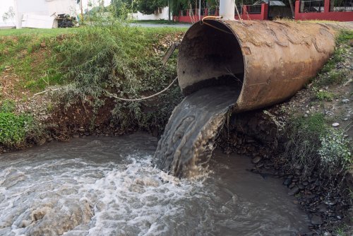 На Закарпатье коммунальщики загрязнили реку Уж сточными водами: подсчитаны убытки