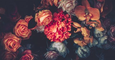 Photo – Ukrainians are urged to abandon artificial flowers at cemeteries: what are the reasons?