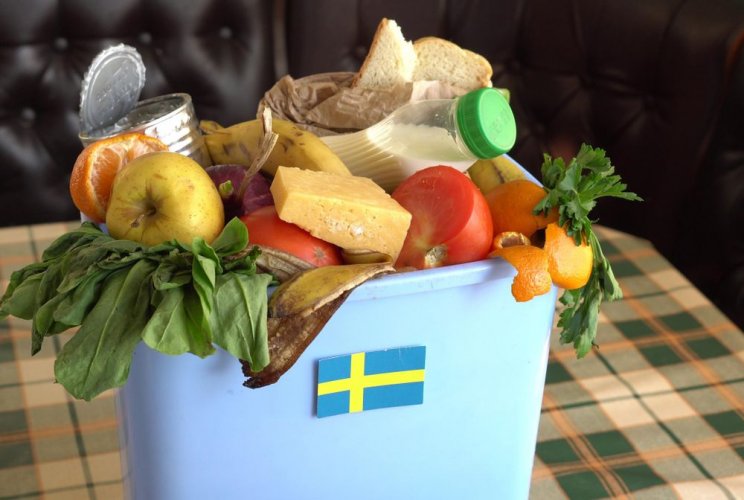 Українцям розповіли про досвід Швеції у виробленні енергії зі сміття