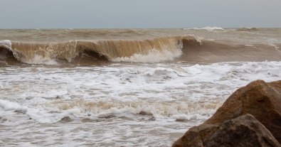Фото – Узбережжю Азовського моря загрожує екологічна катастрофа – біолог