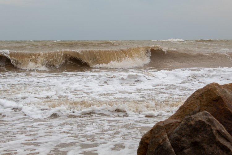 Побережью Азовского моря угрожает экологическая катастрофа – биолог