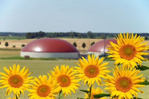 Україна виробляє 230 млн м3 біогазу на рік, а може у 30 разів більше