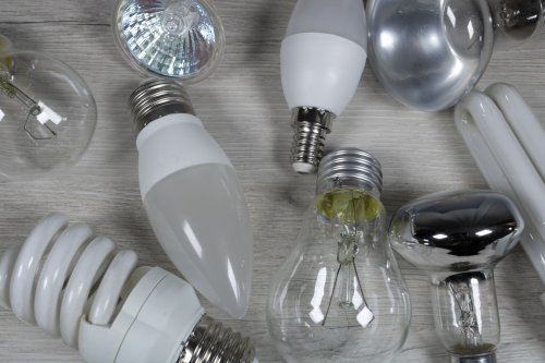 The details of the program to exchange old lamps for energy-efficient ones