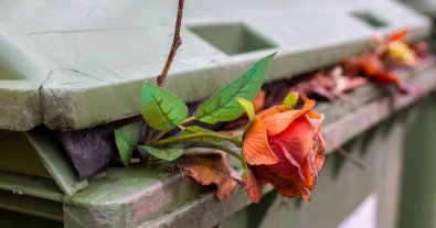 Photo – Ukraine to achieve a ban on artificial flowers in cemeteries