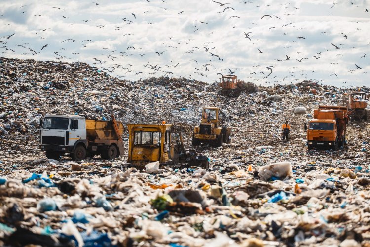Как в Болгарии очищают старый полигон бытовых отходов: появилось фото