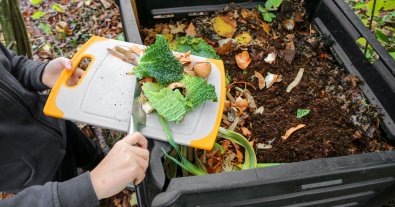 Фото – Город на Киевщине начал собирать и компостировать органические отходы