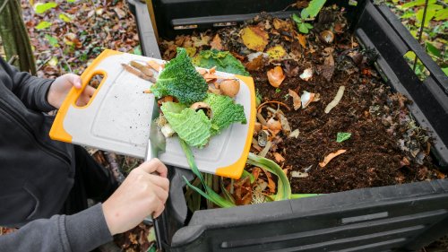 Lviv residents turned 27 thousand tons of garbage into fertilizer in four years