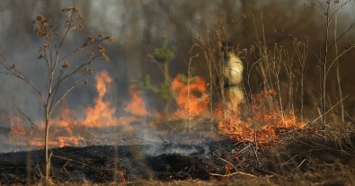 Photo – Due to war, Ukraine experienced the worst fire season in its history in 2024 – JRC