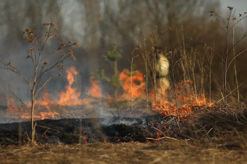 The fire destroyed 1.5 hectares of dry vegetation in the Rivne region