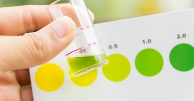Фото – Украинские химики для снижения выбросов CO2 хотят производить "зеленый" аммиак