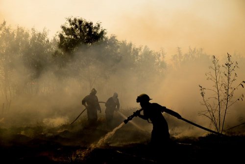 На Херсонщині тривалі лісові пожежі можуть перетворити поля на пісок. Відео