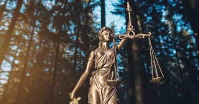 Фото – На Ривненщине суд отменил вывод из ОВД деревообрабатывающего завода "Кроноспан"