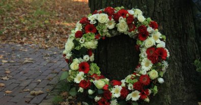 Фото – "Зелений Птах" безплатно прийме штучні вінки на утилізацію