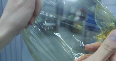 Фото – У Сумах студенти винайшли їстівну плівку для зберігання продуктів
