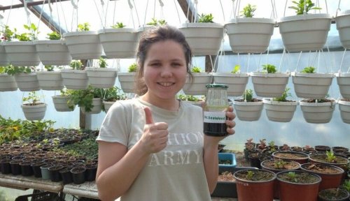 Удобрения из водорослей: студентка из Мариуполя придумала, как очистить Азовское море