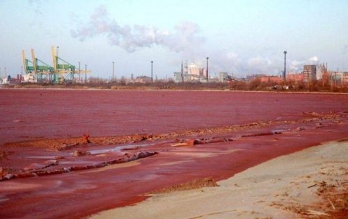 В Николаевской области возобновят рекультивацию шламового поля