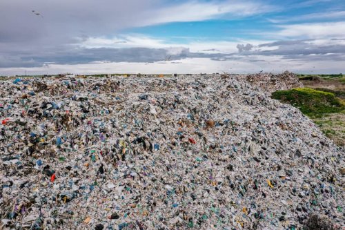 Житель Миколаєва показав величезне сміттєзвалище, яке "пожирає все навколо". Фото