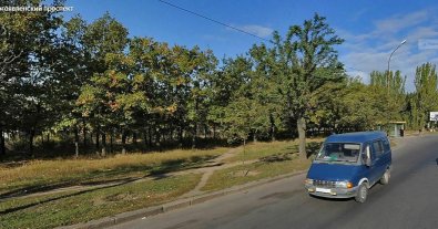 Фото – В Николаеве хотят вырубить деревья, чтобы построить заправку и СТО