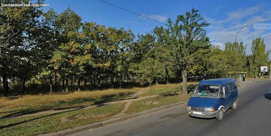 В Николаеве хотят вырубить деревья, чтобы построить заправку и СТО
