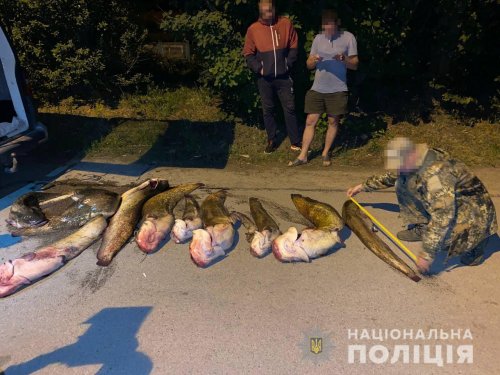 На Днепропетровщине поймали банду браконьеров с пятью тоннами рыбы. Фото