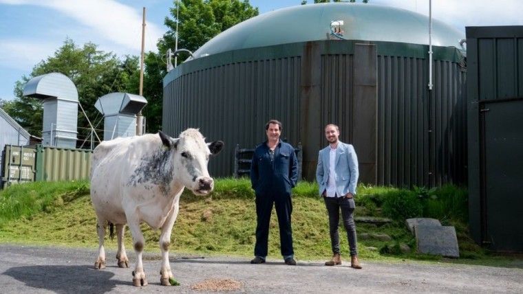 Британський фермер майнить криптовалюту на електриці з коров’ячого гною