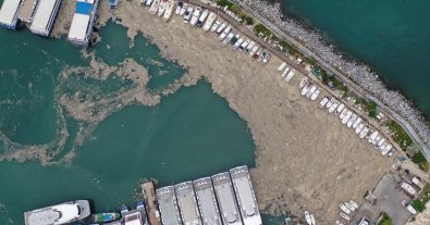 Фото – Біля узбережжя Туреччини з'явився морський слиз: катастрофа загрожує Чорному морю