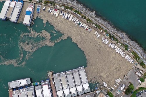 Біля узбережжя Туреччини з'явився морський слиз:  катастрофа загрожує Чорному морю
