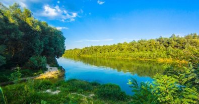 Photo – Ukraine joins LIFE WILDisland international Danube conservation project
