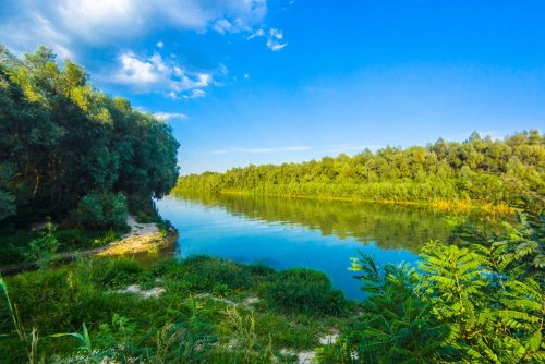 Украина присоединилась к международному проекту по охране реки Дунай "LIFE WILDisland"