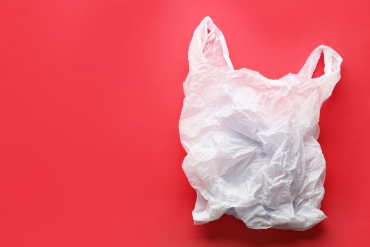 Запрет пластиковых пакетов: бизнес призвал власть учесть замечания к закону