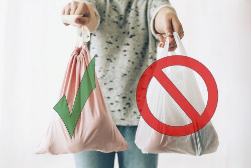 Plastic bags will finally disappear from Ukrainian supermarkets