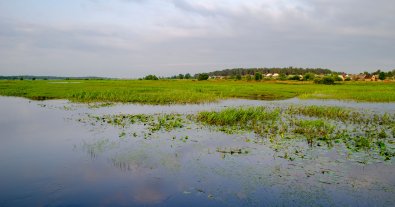 Фото – Будівництво водного шляху в Білорусі може спричинити екологічну катастрофу в Україні