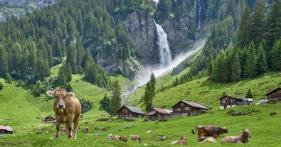 Фото – На референдумі у Швейцарії не підтримали екоініціативи й закон про захист клімату