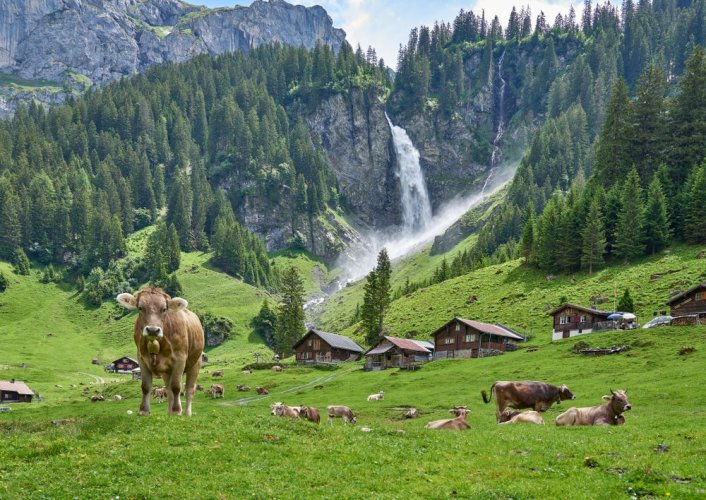 На референдумі у Швейцарії не підтримали екоініціативи й закон про захист клімату