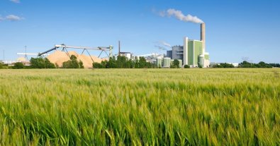 Фото – У 2024 році витрати на охорону довкілля в Україні склали $1,1 млрд