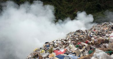 Фото – Экологи заявили, что 90% норм закона об отходах – мертвы