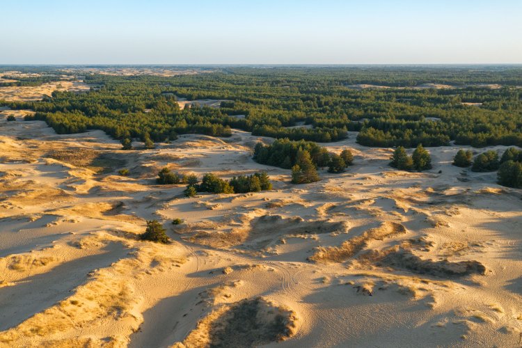 Україна може перетворитися на пустелю через 30-40 років, — екологи