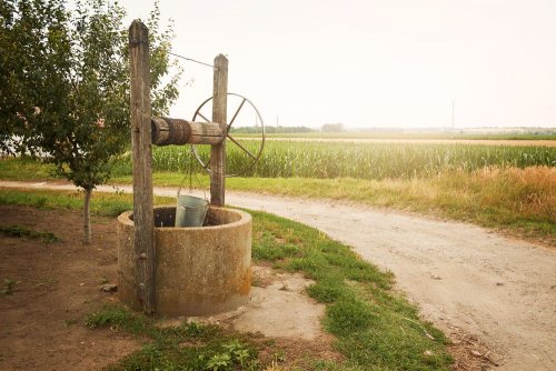 Nitrates were found in wells in the Rivne region