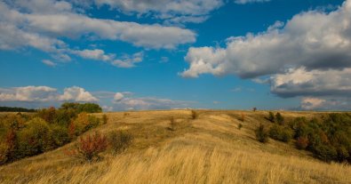Фото – День боротьби з опустелюванням і посухою: яка ситуація в Україні та як розв'язують проблему