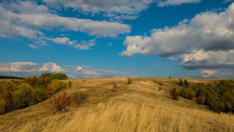 Перша в Україні громада почала втілювати програму з охорони природи