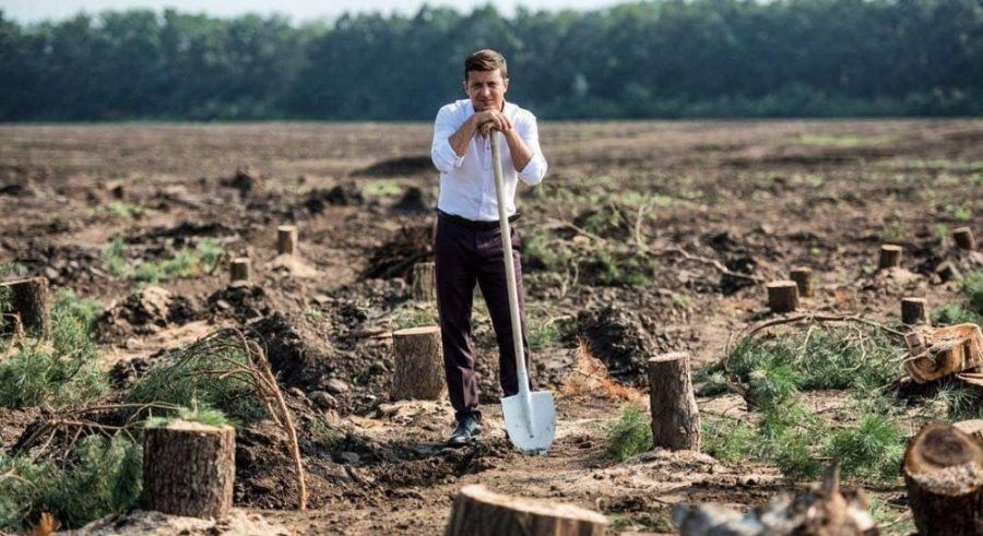 Миллиард деревьев: в Гослесагентстве признали, что не осилят план Зеленского