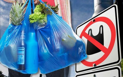 Глава экокомитета бросил вызов политикам по отказу от пластиковых пакетов