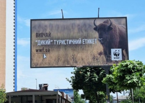 Українцям оригінальним способом розповіли про "дикий" туристичний етикет у Карпатах. Фото