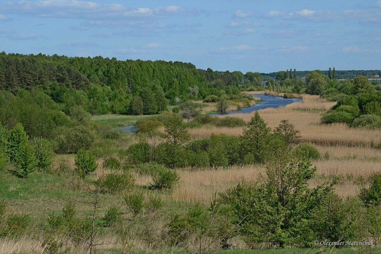 Люди захватили 302 участка природно-заповедного фонда в Винницкой области