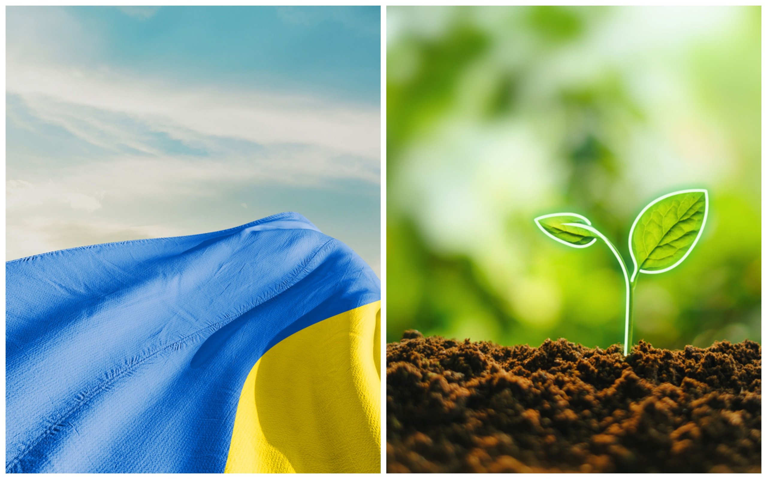 Фото – Екологічний патріотизм по-українськи: навіщо нам амбіційний НВВ2?