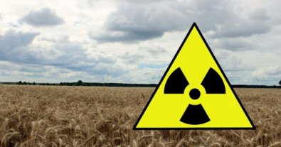 Фото – На Житомирщині вивели з обігу 33 тис. га радіоактивних угідь