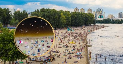 Фото – Киян обурив колір води на пляжі Гідропарку. Фото